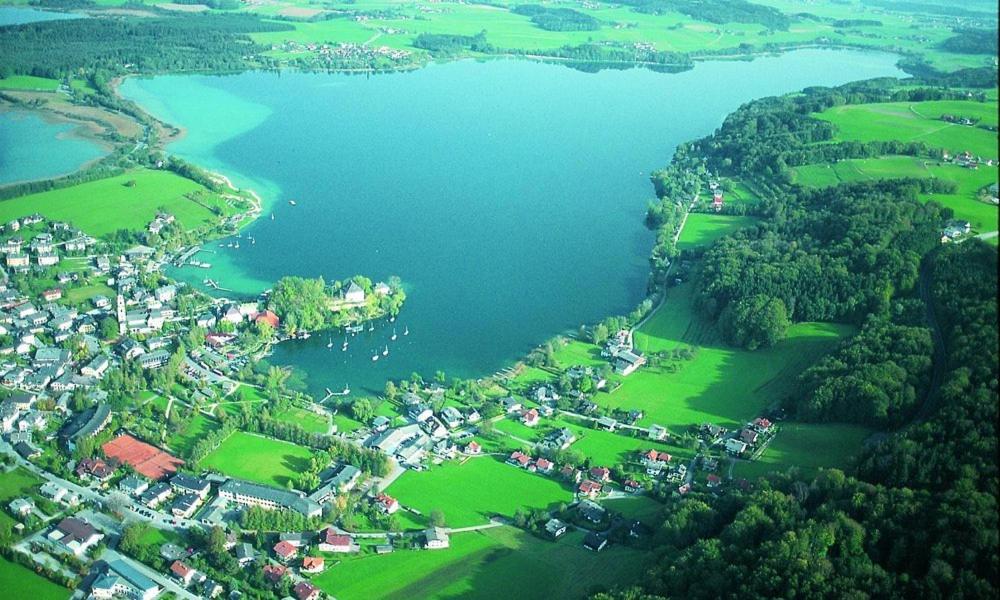 Moderne Ferienwohnung Bestlage In Mattsee Salzburg Salzburger Seenland Urlaub Am See Exterior foto