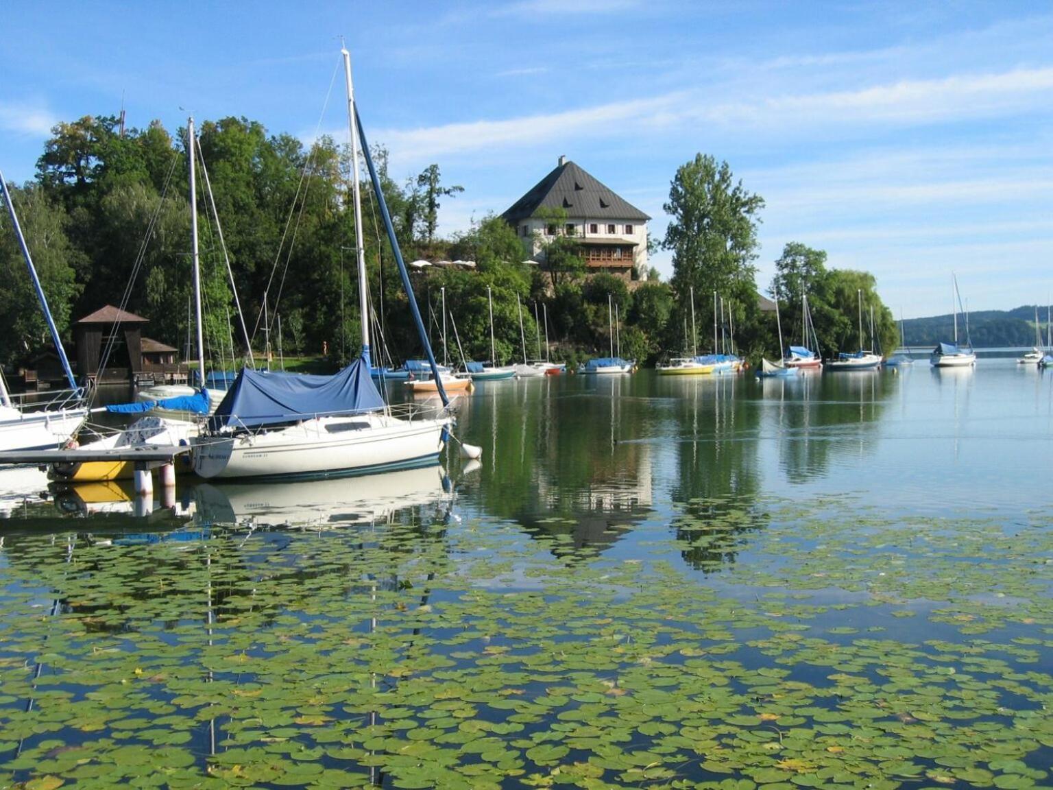 Moderne Ferienwohnung Bestlage In Mattsee Salzburg Salzburger Seenland Urlaub Am See Exterior foto